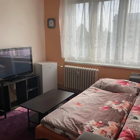 Garsoniera U Lesoparku Διαμέρισμα Horní Slavkov