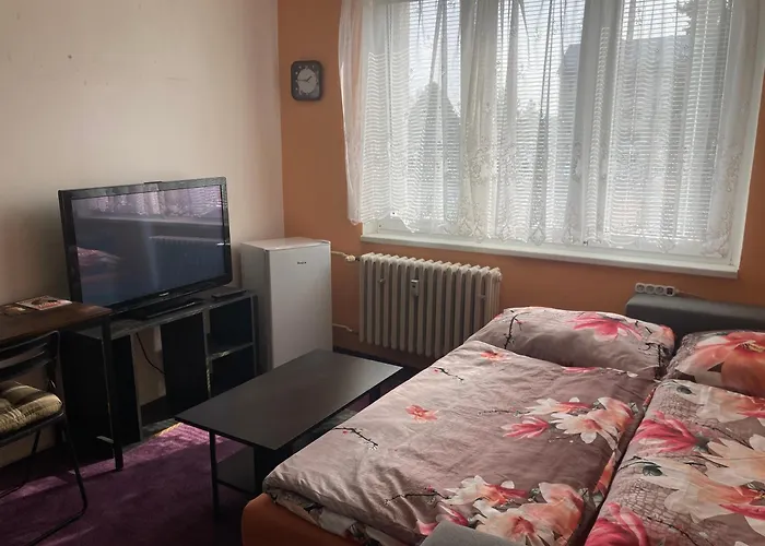 Garsoniera U Lesoparku Apartmán Horní Slavkov